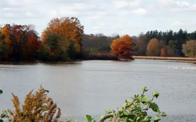 Waterford Ponds in the fall 
