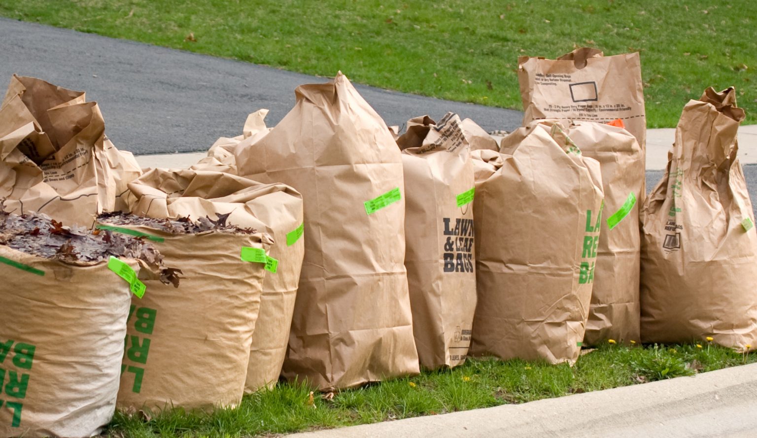 How To Dispose Of Yard Waste
