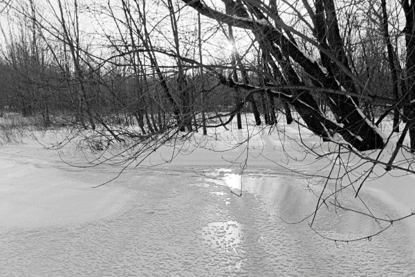 Frozen pond