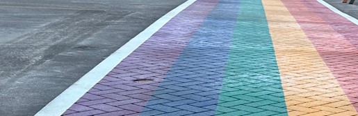 Rainbow crosswalk image
